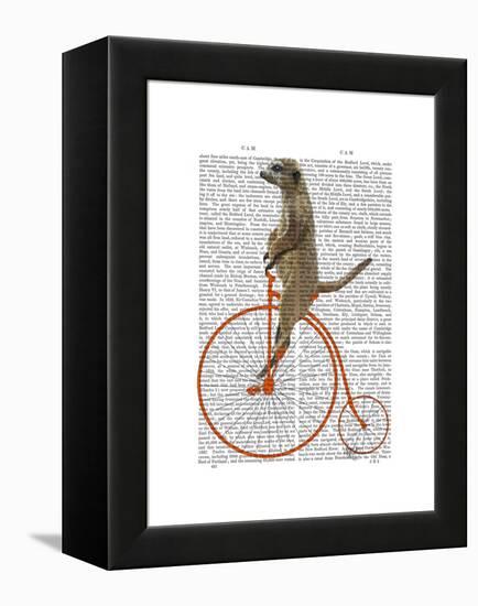 Meerkat on Orange Penny Farthing-Fab Funky-Framed Stretched Canvas