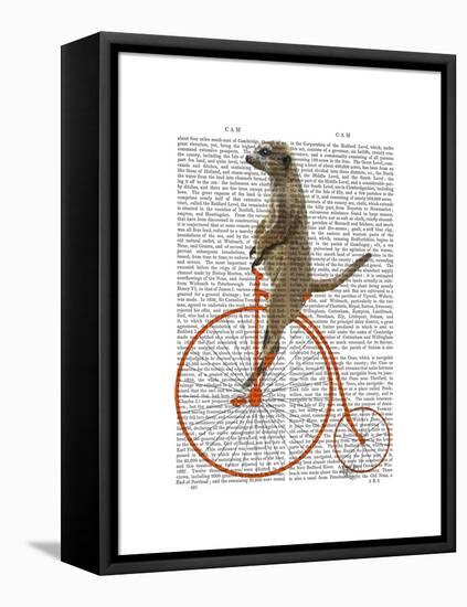 Meerkat on Orange Penny Farthing-Fab Funky-Framed Stretched Canvas