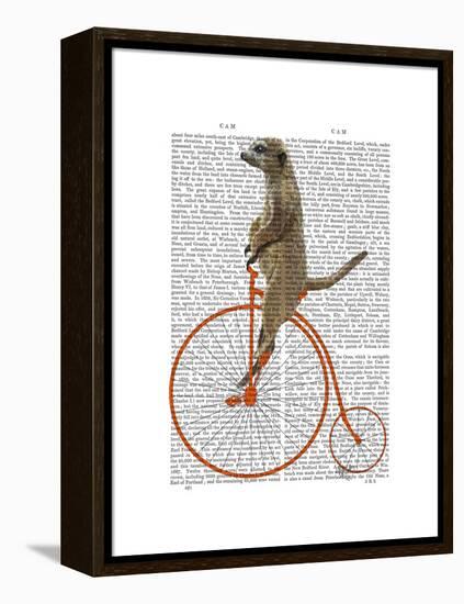 Meerkat on Orange Penny Farthing-Fab Funky-Framed Stretched Canvas