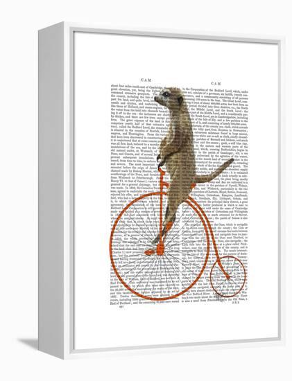 Meerkat on Orange Penny Farthing-Fab Funky-Framed Stretched Canvas