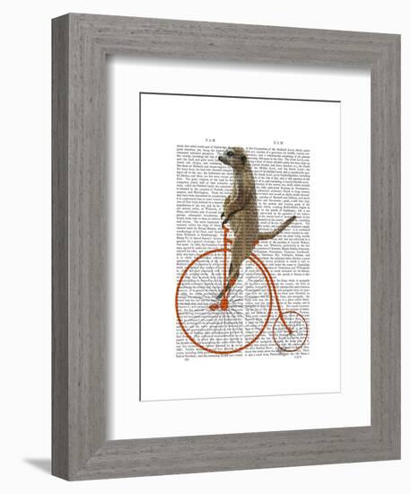 Meerkat on Orange Penny Farthing-Fab Funky-Framed Art Print