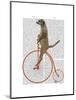 Meerkat on Orange Penny Farthing-Fab Funky-Mounted Art Print