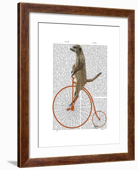 Meerkat on Orange Penny Farthing-Fab Funky-Framed Art Print