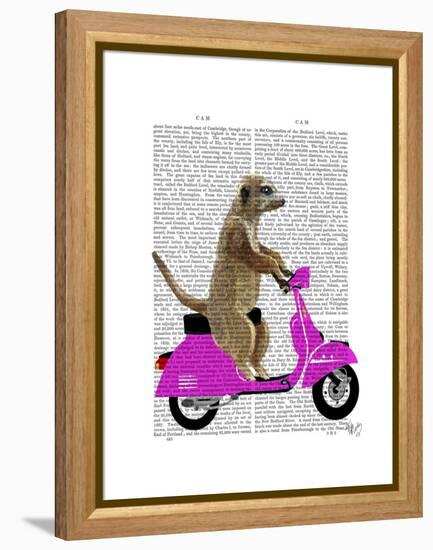 Meerkat on Pink Moped-Fab Funky-Framed Stretched Canvas