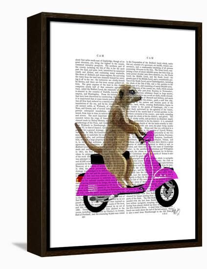 Meerkat on Pink Moped-Fab Funky-Framed Stretched Canvas