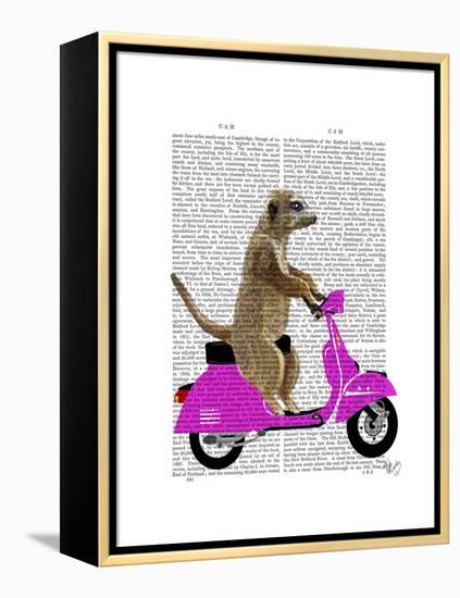 Meerkat on Pink Moped-Fab Funky-Framed Stretched Canvas