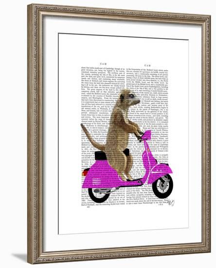 Meerkat on Pink Moped-Fab Funky-Framed Art Print