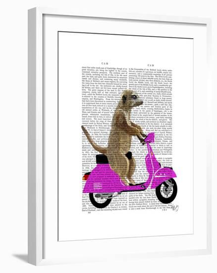 Meerkat on Pink Moped-Fab Funky-Framed Art Print