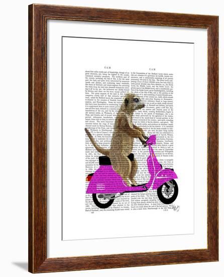 Meerkat on Pink Moped-Fab Funky-Framed Art Print