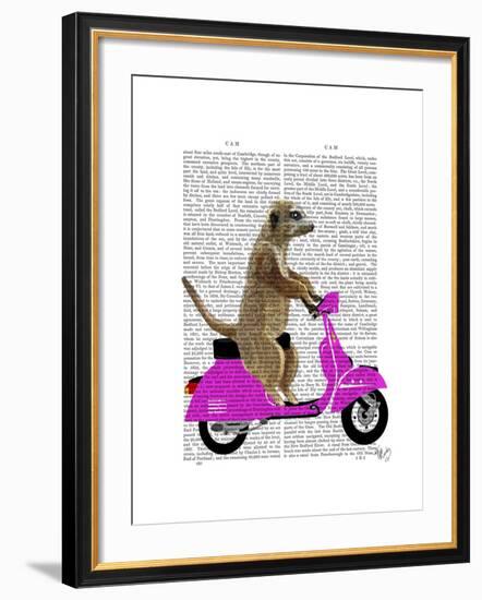 Meerkat on Pink Moped-Fab Funky-Framed Art Print