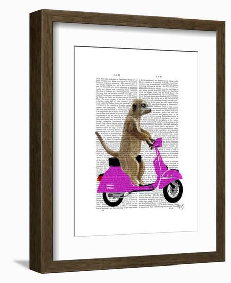 Meerkat on Pink Moped-Fab Funky-Framed Art Print