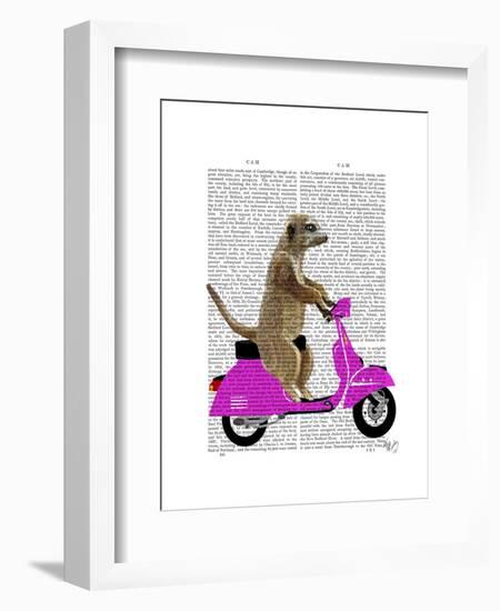 Meerkat on Pink Moped-Fab Funky-Framed Art Print