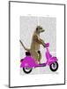 Meerkat on Pink Moped-Fab Funky-Mounted Art Print