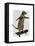 Meerkat on Skateboard-Fab Funky-Framed Stretched Canvas