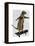 Meerkat on Skateboard-Fab Funky-Framed Stretched Canvas