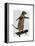 Meerkat on Skateboard-Fab Funky-Framed Stretched Canvas