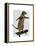 Meerkat on Skateboard-Fab Funky-Framed Stretched Canvas