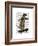 Meerkat on Skateboard-Fab Funky-Framed Premium Giclee Print