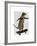 Meerkat on Skateboard-Fab Funky-Framed Art Print