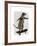 Meerkat on Skateboard-Fab Funky-Framed Art Print