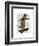 Meerkat on Skateboard-Fab Funky-Framed Art Print