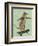 Meerkat on Skateboard-Fab Funky-Framed Premium Giclee Print