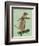 Meerkat on Skateboard-Fab Funky-Framed Art Print