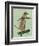 Meerkat on Skateboard-Fab Funky-Framed Art Print