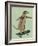 Meerkat on Skateboard-Fab Funky-Framed Art Print