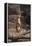 Meerkat Standing Up-DLILLC-Framed Premier Image Canvas