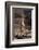 Meerkat Standing Up-DLILLC-Framed Photographic Print