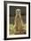 Meerkat, Suricate-null-Framed Photographic Print