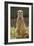 Meerkat, Suricate-null-Framed Photographic Print