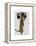 Meerkat with Boom Box Ghetto Blaster-Fab Funky-Framed Stretched Canvas