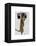 Meerkat with Boom Box Ghetto Blaster-Fab Funky-Framed Stretched Canvas