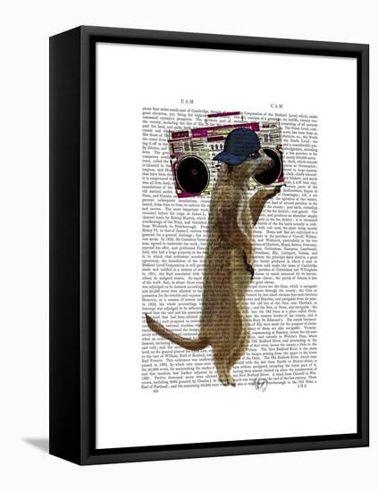 Meerkat with Boom Box Ghetto Blaster-Fab Funky-Framed Stretched Canvas