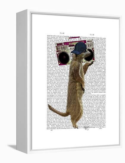 Meerkat with Boom Box Ghetto Blaster-Fab Funky-Framed Stretched Canvas
