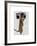 Meerkat with Boom Box Ghetto Blaster-Fab Funky-Framed Art Print