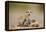 Meerkat with Pups-Paul Souders-Framed Premier Image Canvas