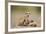 Meerkat with Pups-Paul Souders-Framed Photographic Print