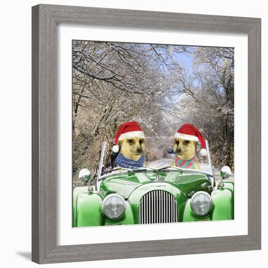 Meerkats Driving Car Through Snow Scene Wearing-null-Framed Photographic Print