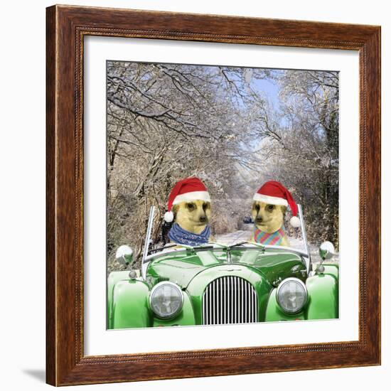 Meerkats Driving Car Through Snow Scene Wearing--Framed Photographic Print