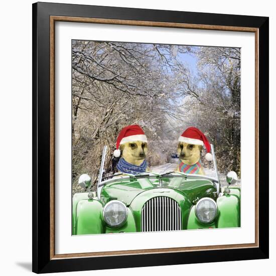 Meerkats Driving Car Through Snow Scene Wearing-null-Framed Photographic Print