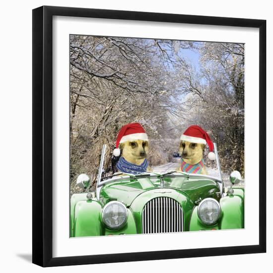 Meerkats Driving Car Through Snow Scene Wearing-null-Framed Photographic Print