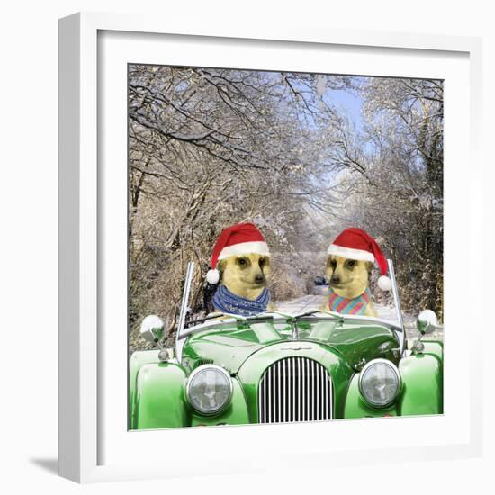 Meerkats Driving Car Through Snow Scene Wearing--Framed Photographic Print