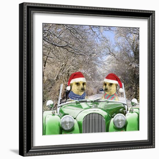 Meerkats Driving Car Through Snow Scene Wearing-null-Framed Photographic Print