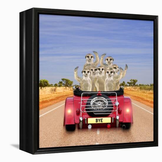 Meerkats in Car Waving-null-Framed Premier Image Canvas