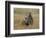 Meerkats (Suricates) (Suricata Suricatta), Greater Addo National Park, South Africa, Africa-Steve & Ann Toon-Framed Photographic Print