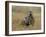 Meerkats (Suricates) (Suricata Suricatta), Greater Addo National Park, South Africa, Africa-Steve & Ann Toon-Framed Photographic Print