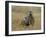 Meerkats (Suricates) (Suricata Suricatta), Greater Addo National Park, South Africa, Africa-Steve & Ann Toon-Framed Photographic Print